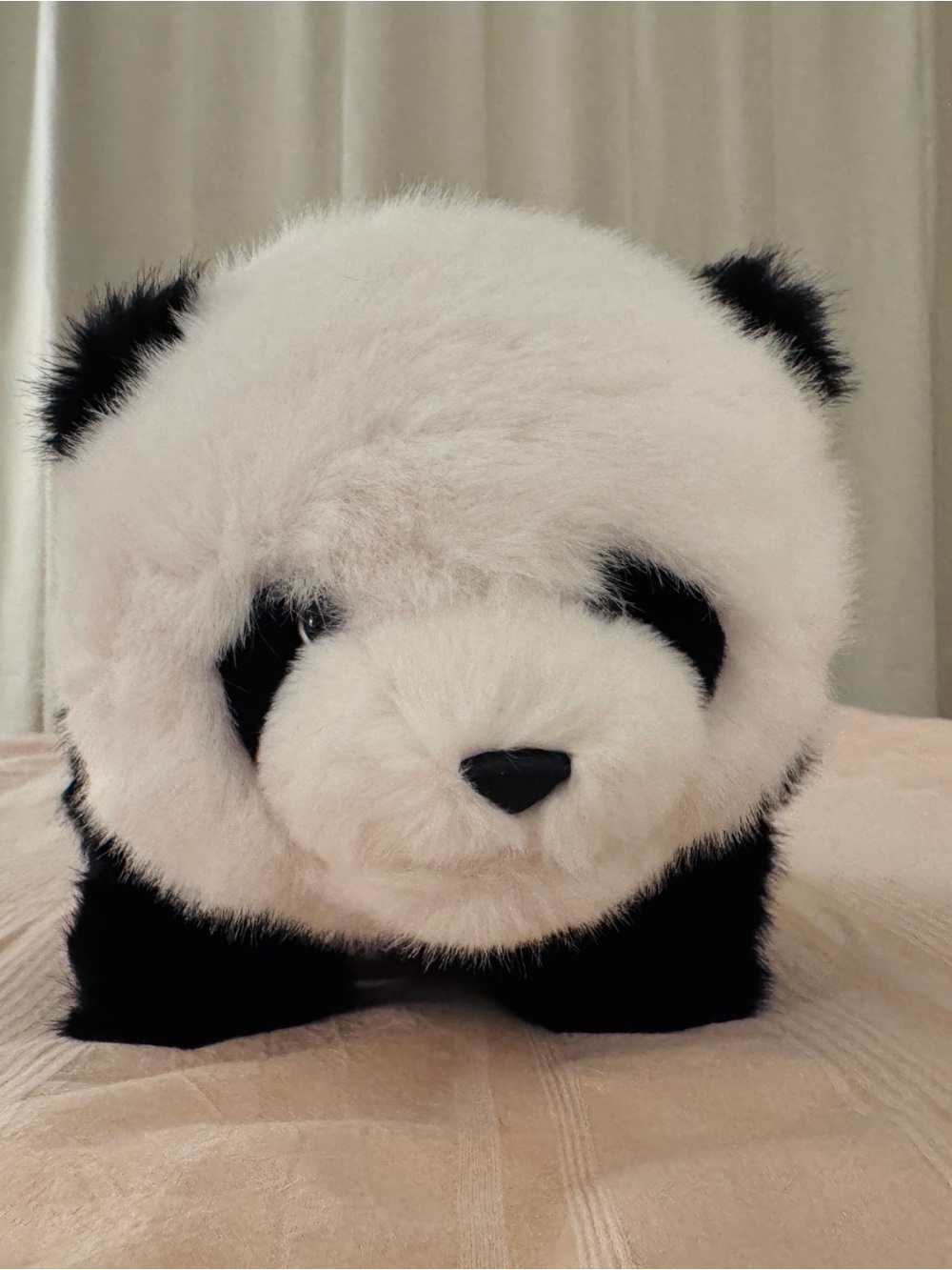 Plush Panda Stuffed Toy - Black & White Soft Cuddly Plush🐼